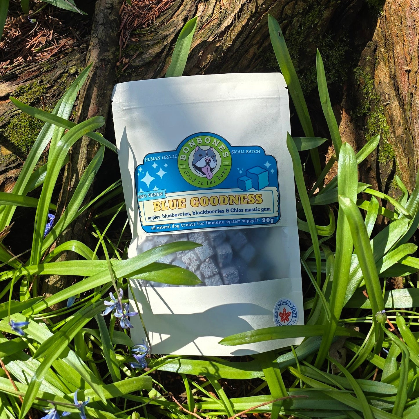 Blue Goodness BonBones