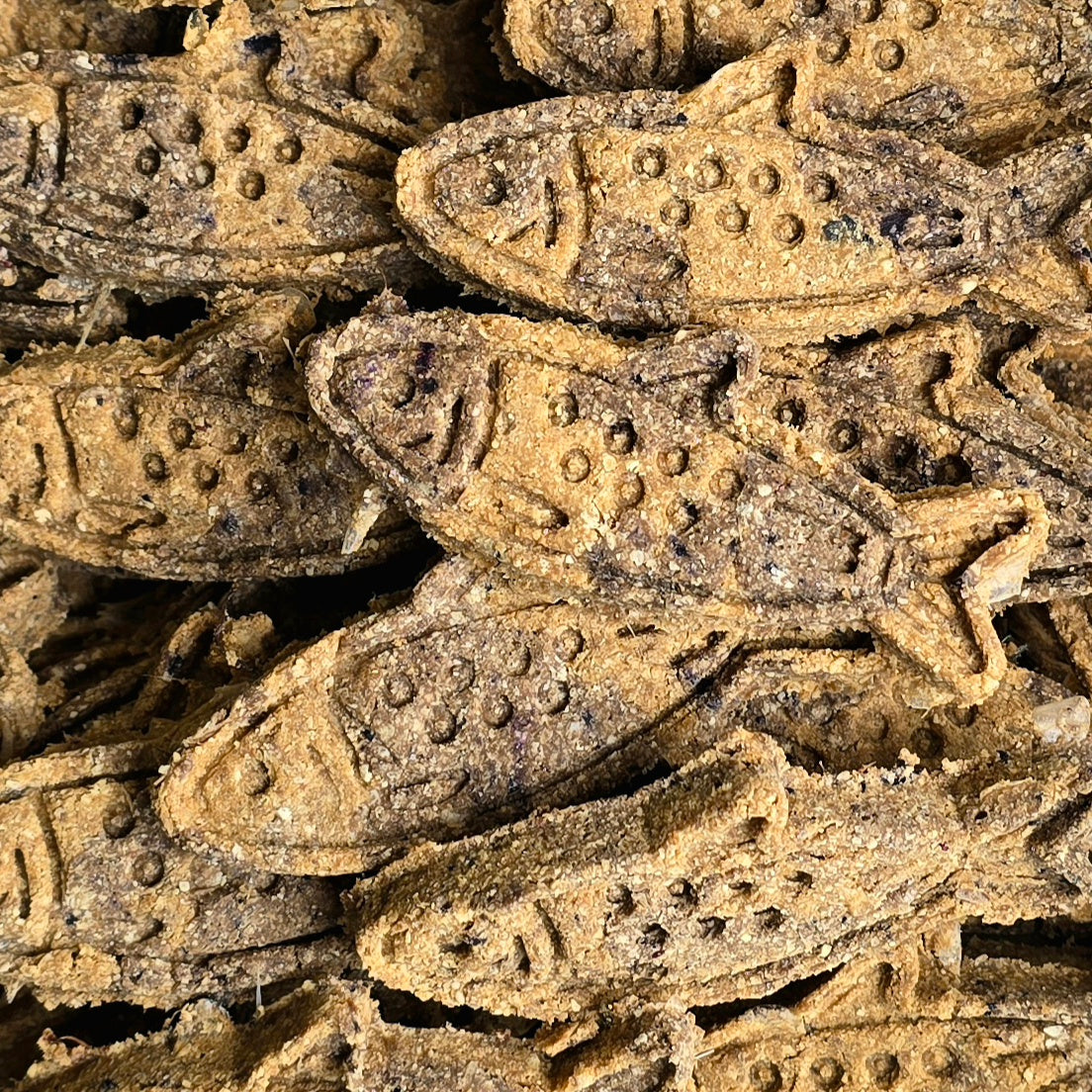 Sardine Cookies