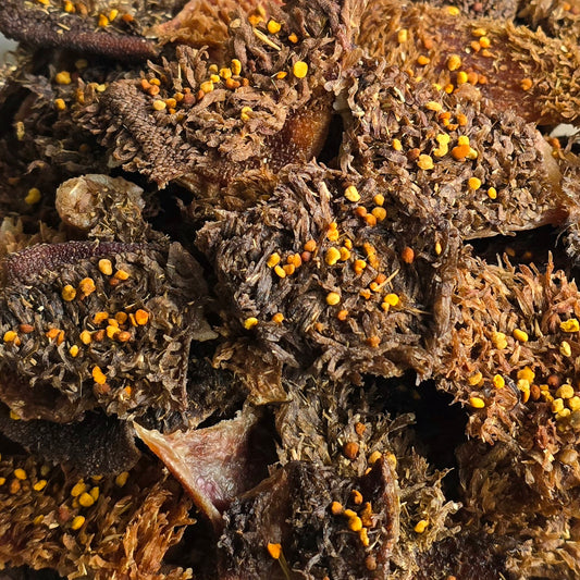 Bison Green Tripe + Bee Pollen