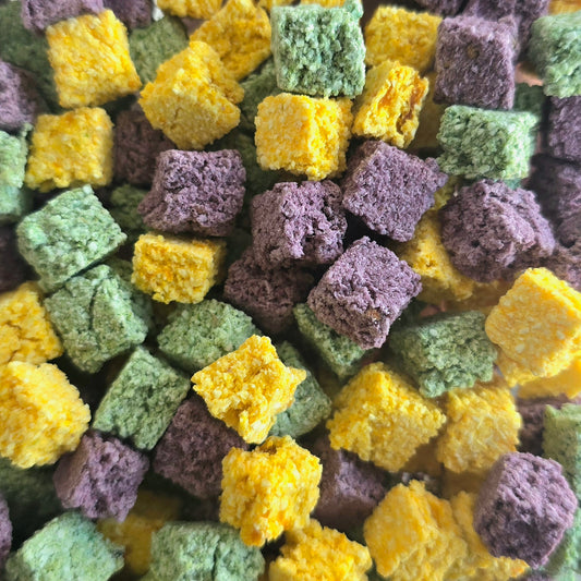 Hocus Pawcus BonBones